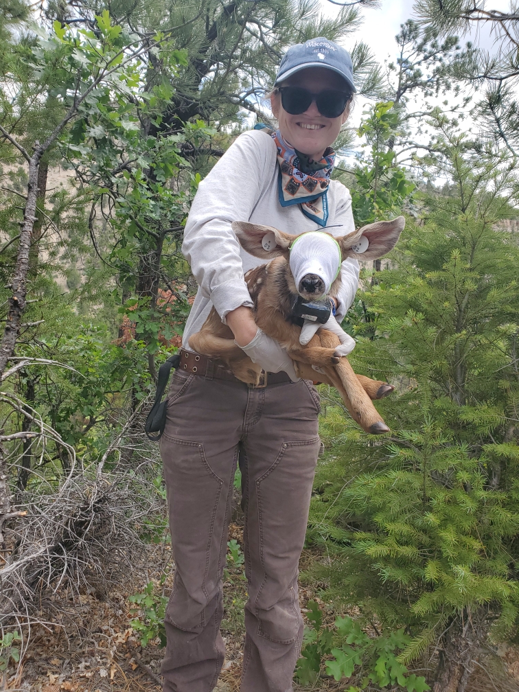 Hannah Manninen with mule deer