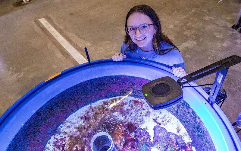 A student looks over a tank at SIU’s coral farm.