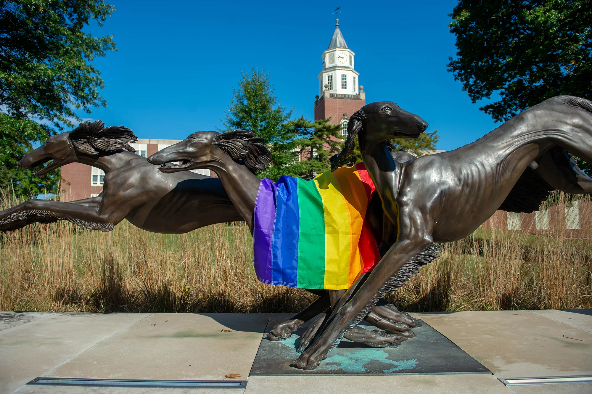 A rainbow flag is draped over the statue of three saluki dogs.