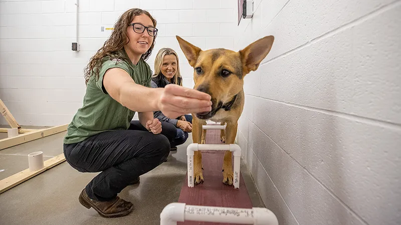 A female student trains her dog by giving her a treat while her professor looks on.