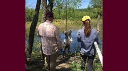 Researchers in Mississippi Wetlands