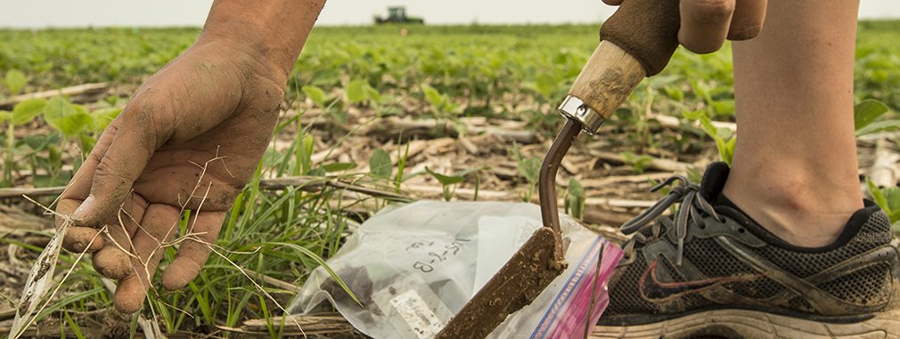 SIu Agriculture Program