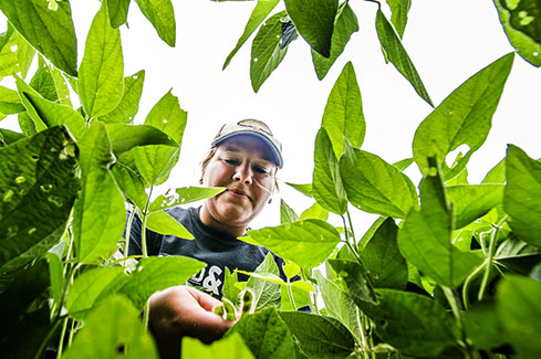 SIU Agriculture Program