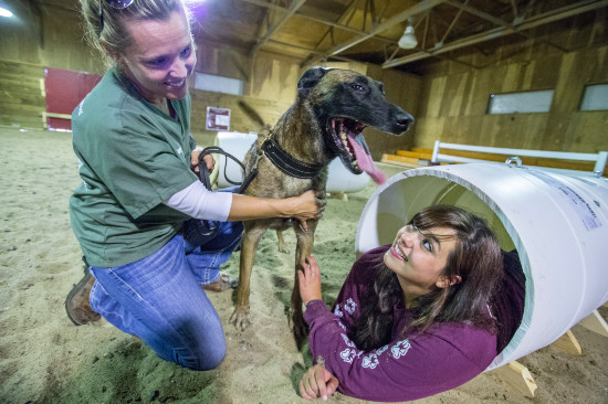 SIU Animal Science