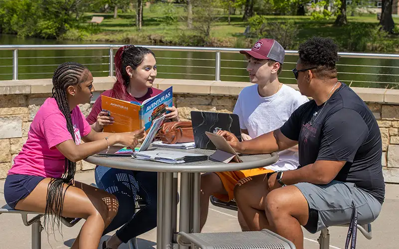 Four students study together at an outdoor table near a lake on the Southern Illinois University campus, with laptops and textbooks open on a sunny day.