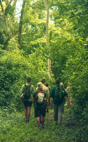 Costa Rica Group in Forest