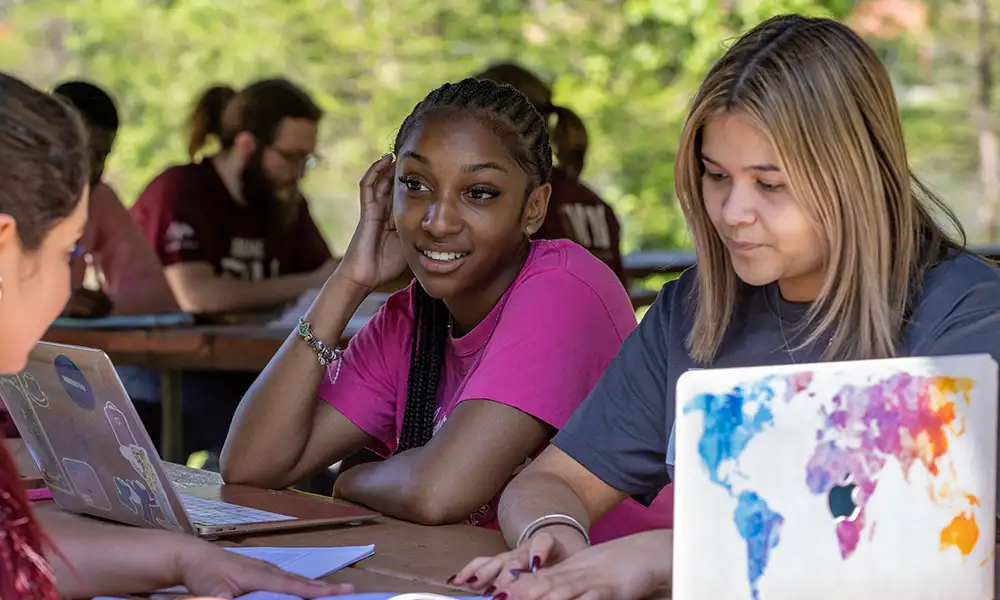 Students studying and socializing outdoors with laptops open, enjoying a sunny day at Southern Illinois University.