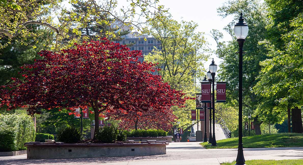 SIU Campus view