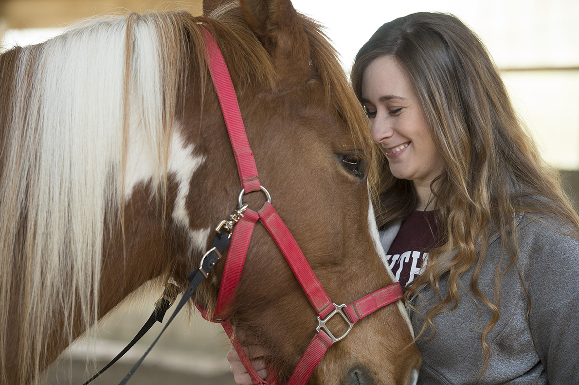 siu horse therapy