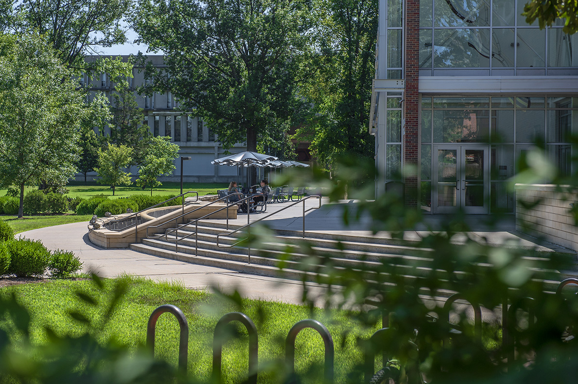 Saluki Transfer Day